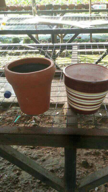 Jual Pot Isi 2 Dua Anggrek Vas Bunga Bahan Keramik Tanah Liat Jakarta Selatan Toko S A Tokopedia Jual Pot Isi 2 Dua Anggrek Vas Bunga Bahan Keramik Tanah Liat Jakarta Selatan Toko S A Tokopedia