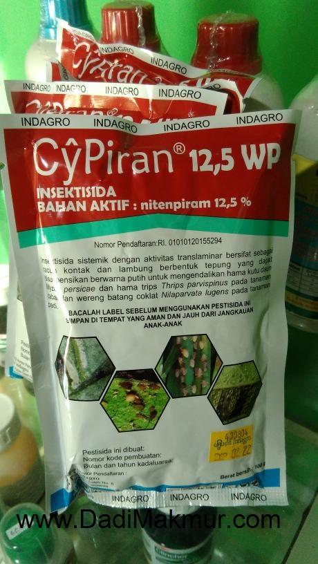 Jual Obat Wereng Cypiran 100 Gram Kab Banyumas Dadi Makmur Tokopedia