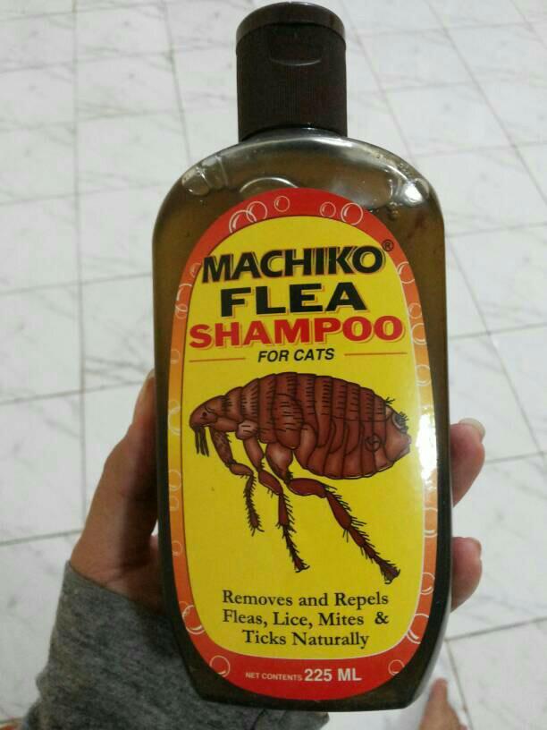 machiko flea shampoo