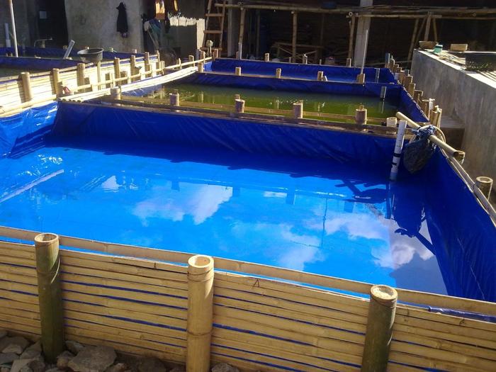 Gambar Terpal Kolam Murah Tarpaulin (Kotak) Ukuran 4x3 Mtr, Tinggi Pas 1 Mtr dari Tunggal Jaya Terpal undefined Tokopedia