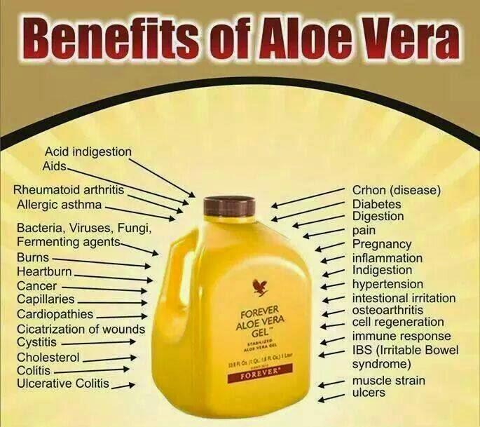 Jual Aloe Vera Gel Forever Living Products Flp Jakarta Utara Forever Living Products Tokopedia