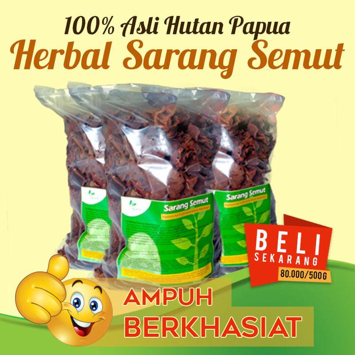 Jual Sarang Semut 1kg Asli Papua Penakluk Penyakit Ganas Kanker Tumor Kota Surabaya Beta Punya Tokopedia