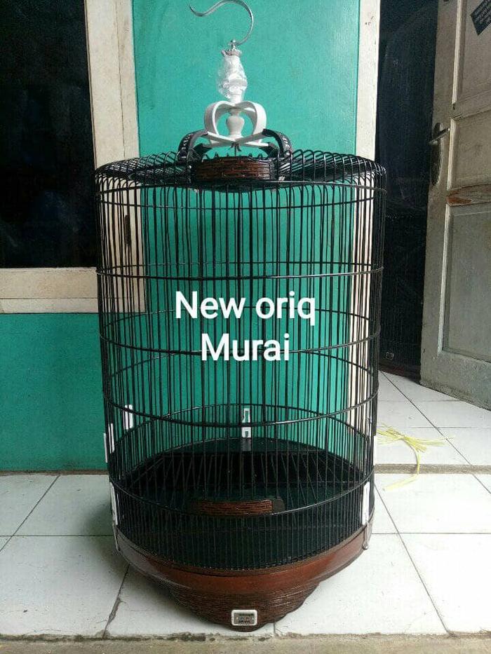 Jual Sangkar Burung Murai Bnr Reborn Termurah Original 100 No1 Dmtr 60cm Jakarta Timur Spd Jaya Tokopedia