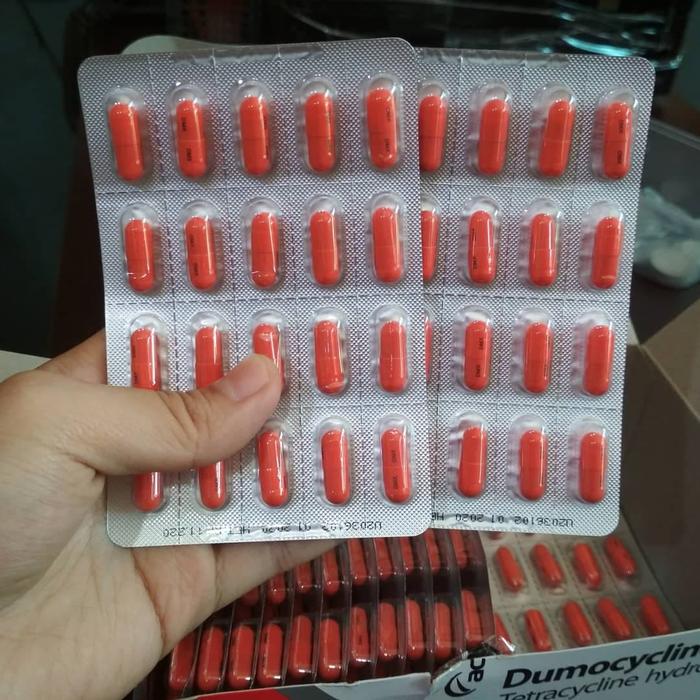Jual Dumex Dumocycline 250mg Obat Infeksi Pengering Luka Basah Kota Bekasi Ceni Shop Tokopedia