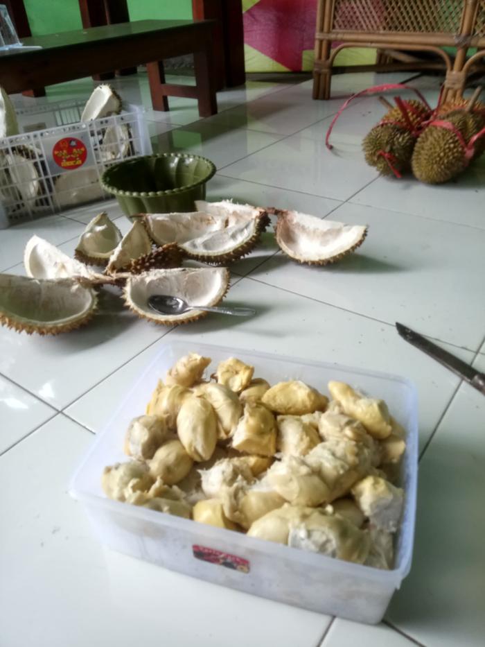 Gambar Durian Lokal Jember Kupas 1 kg dari Produk Olahan Jember PT Maju Pesat Barokah undefined Tokopedia