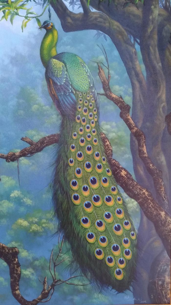 5500 Koleksi Gambar Burung Merak Dua Dimensi HD