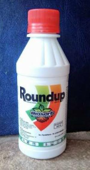 Jual Obat Rumput Mematikan Rondup Herbisida 200ml Kena Hujan Gak Masalah Kab Tangerang Pd Mekar Tangerang Tokopedia