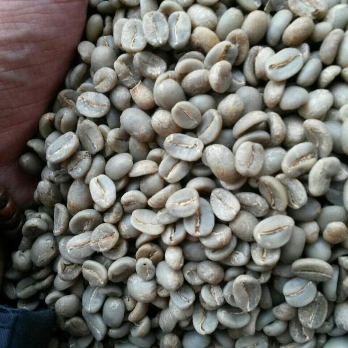 Gambar Biji Kopi Green Bean Arabika Luwak Liar Temanggung 1kg dari Rumah Kopi Temanggung undefined Tokopedia