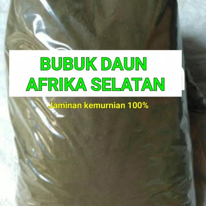 Gambar DAUN AFRIKA BUBUK 100 GRAM dari jamu kamidi herbal undefined Tokopedia