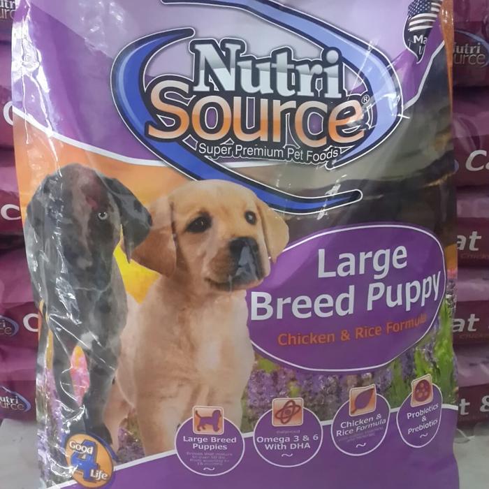 dog eating bed stuffing