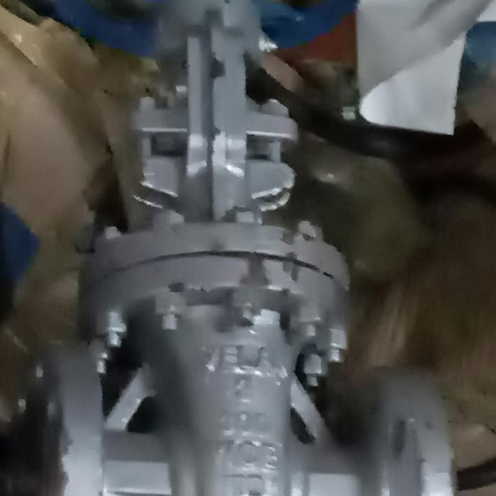 Gambar Gate Valve 2"(inch) Class 300 Velan dari Joso Shop undefined Tokopedia