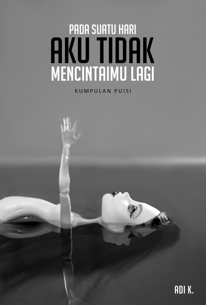 Jual Buku Pada Suatu Hari Aku Tidak Mencintaimu Lagi Buku Kumpulan Puisi Jakarta Pusat Qeen Putri Tokopedia
