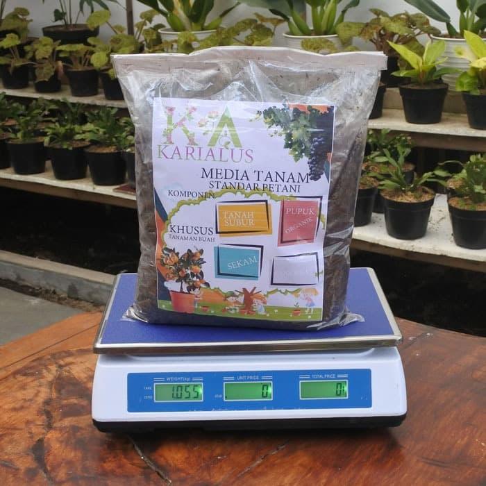 Jual Media tanam tanaman BUAH siap pakai racikan petani MERK KARIALUS ...