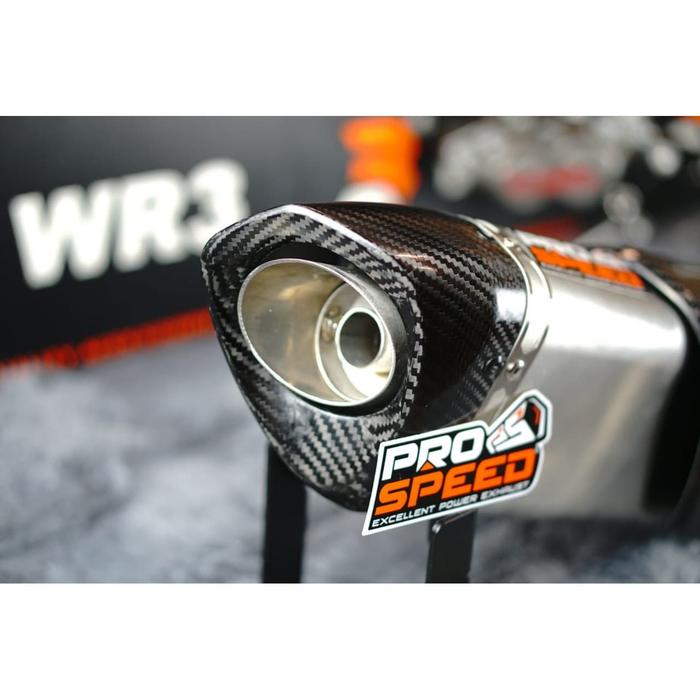 Jual Knalpot Prospeed Viper Series ZX25R ZX25RR Stainless Fullsystem ...
