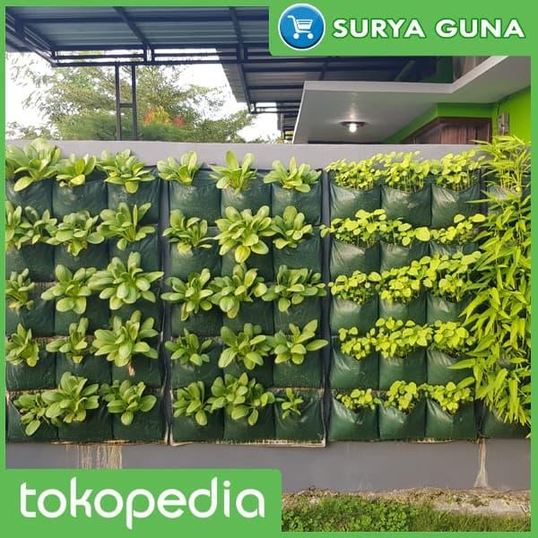 Gambar Green Wall Planter Bags Easy Grow 15 Kantong Planter Bag Dinding dari Suryaguna Store Kab. Tulungagung Tokopedia