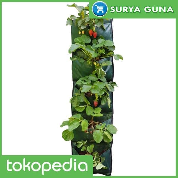 Gambar Wall Planter Bags Hanging Planter Bag Dinding 5 Kantong Easy Grow dari Suryaguna Store undefined Tokopedia