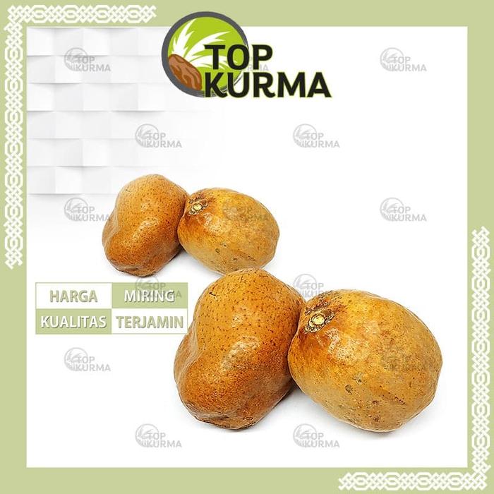 Gambar Buah Zuriat Mesir 1 pcs dari Top Kurma Indonesia undefined Tokopedia