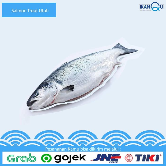 Gambar GROSIR Salmon Whole / Salmon Utuh / Salmon satu ekor/SALMON TROUT dari Ikan Qu Jakarta undefined Tokopedia
