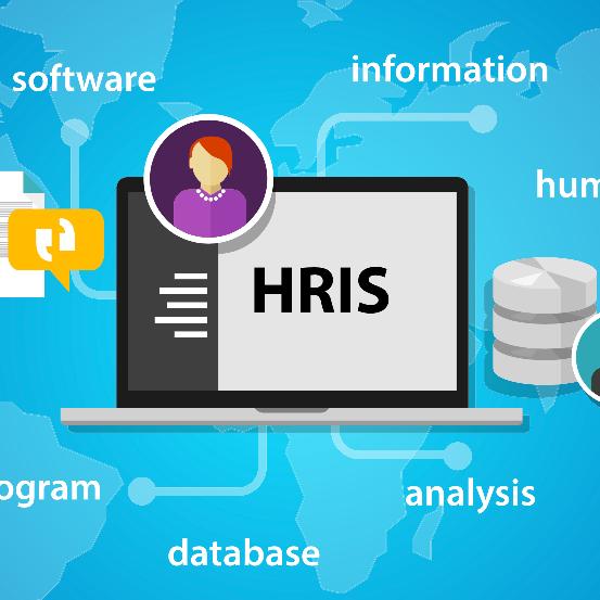 Gambar Software / Sistem / Aplikasi HRIS / Human Resources Information System dari farizfadian undefined Tokopedia