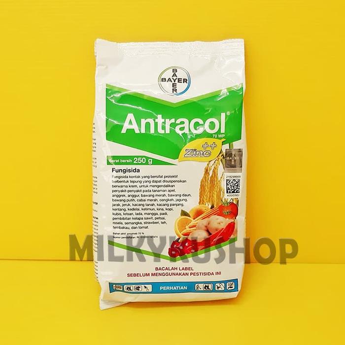 Jual Fungisida Antracol 70 Wp Zinc Kemasan Pabrik 250 Gram Jakarta Barat Milkyku Shop Tokopedia