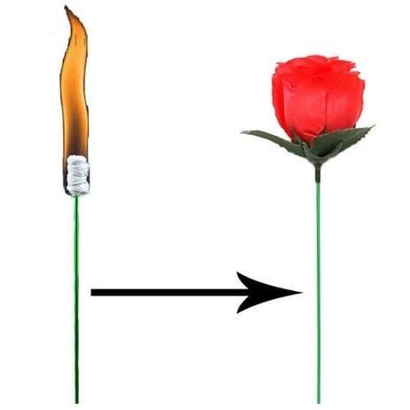 Gambar Fire Turn On Rose Magic Trick - Trik Sulap Api Menjadi Mawar dari JPL CRAFT STORE undefined Tokopedia