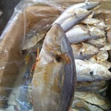 Gambar ikan asin selar kuning dari Berkah Laut 1933 undefined Tokopedia