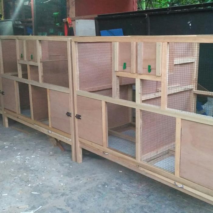 Jual kandang ternak murai poligami - Kab. Bekasi - kandang hewan unik | Tokopedia