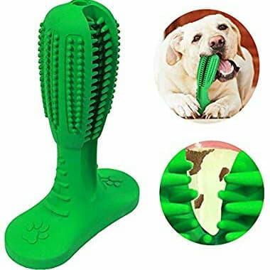 pet toothbrush stick