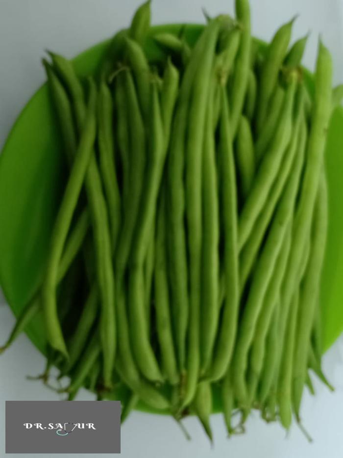 Jual Kacang Buncis Buncis Jakarta Pusat Dr Sayur Tokopedia