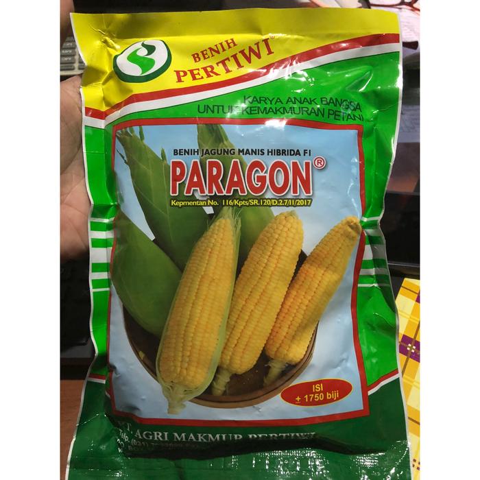 Jual Benih Jagung Manis Paragon Kota Pontianak Jy Tani 