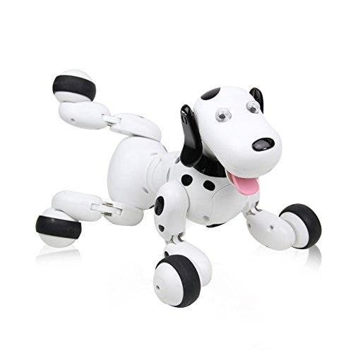 dog in remote control car