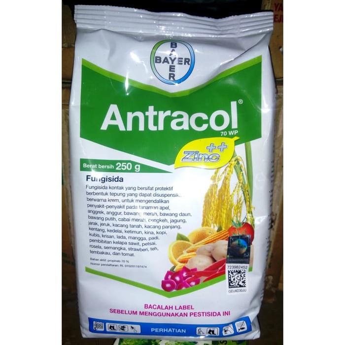 Jual Fungisida Antracol 250 Gr Obat Tanaman Obat Jamur Obat Anggrek Jakarta Barat Madani Shopp Tokopedia