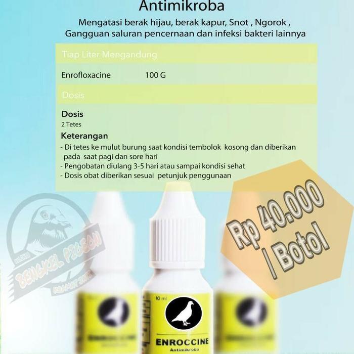 Jual Obat Tetes Ampuh Baron Goham Lumpuh Snot Ngorok Burung Merpati Dara Jakarta Timur Bamsmaticshop Tokopedia