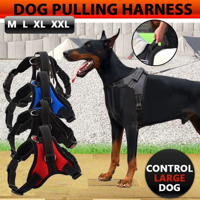 Collarless leash outlet