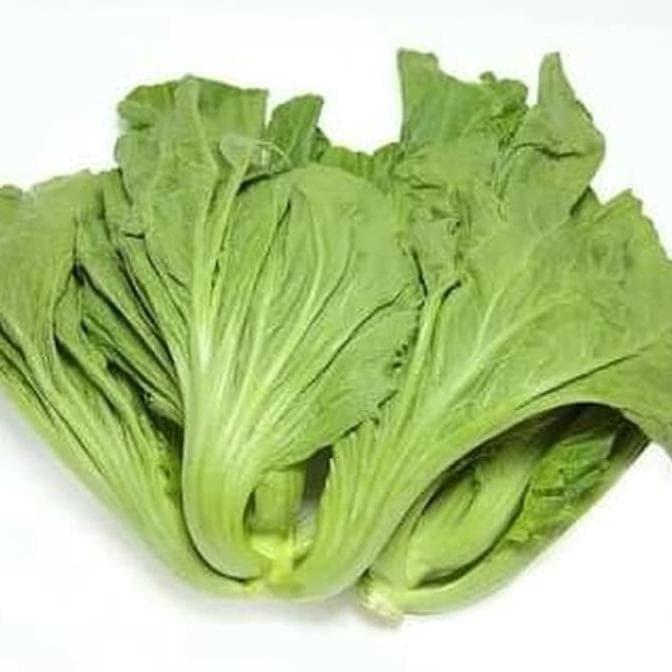 Jual 1 Gr Biji Benih Sayuran Sawi Pahit Kaya Manfaat Baru Kota Tangerang Selatan Windflower5 Tokopedia Jual 1 Gr Biji Benih Sayuran Sawi Pahit Kaya Manfaat Baru Kota Tangerang Selatan Windflower5 Tokopedia