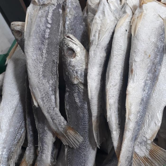 Jual Ikan Asin Samge Panjang Ikan Sangge Panjang Jakarta Pusat Adriell Alexander Tokopedia