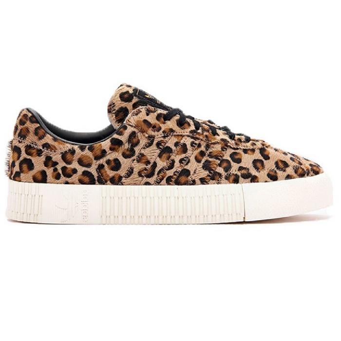 sambarose leopard