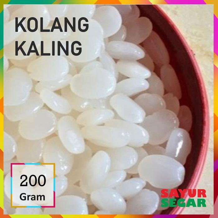 Gambar KOLANG KALING [200g] FRESH SIAP MASAK dari Sayur Segar undefined Tokopedia