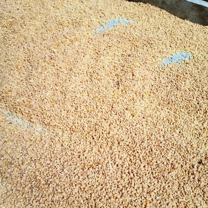 Gambar Bee Pollen RANDU, MULTI FLORA dan JAGUNG granules / kasar asli murni - POLENmultiFLORA dari madunesia.cangkirstore undefined Tokopedia