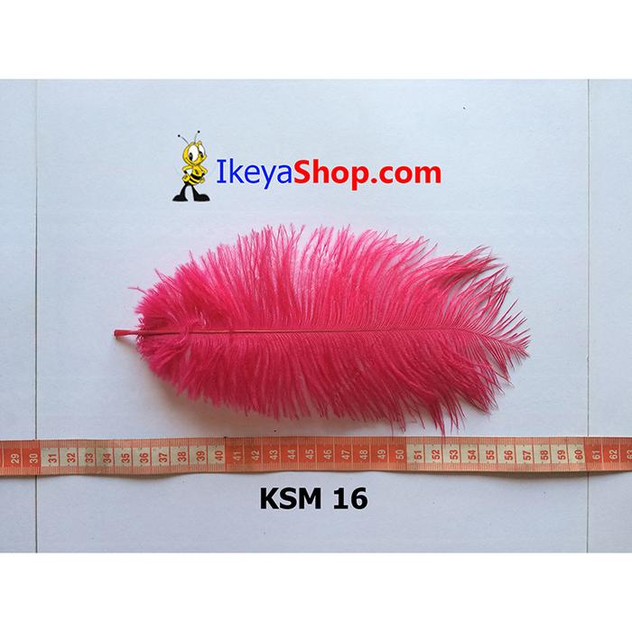 Gambar Bulu Kasuari Medium Pink kemerahan (KSM 16) dari ikeyashop undefined Tokopedia