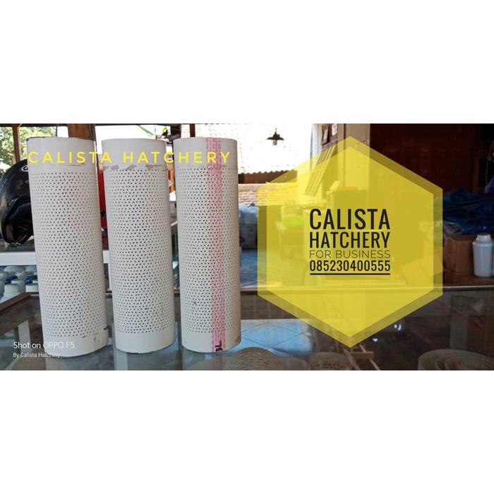 Gambar Pipa Kolam Saringan Kolam Paralon 2 Inch Panjang 20cm Bor 1mm dari Calista Aquakulture undefined Tokopedia