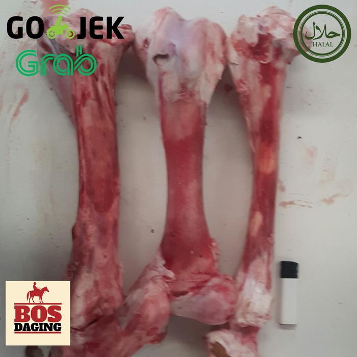 Gambar Tulang sumsum sapi besar dijamin fresh segar - 1 pc dari BOS-DAGING undefined Tokopedia