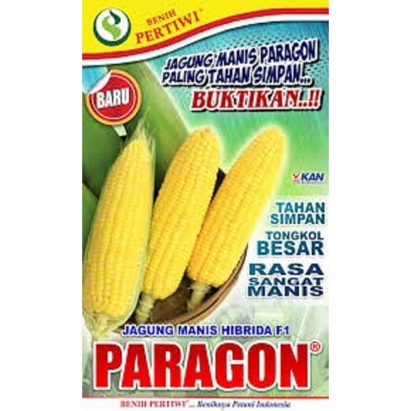 Jual Benih Jagung Manis Paragon F1 Kab Bandung Barat Tentrambarokah 