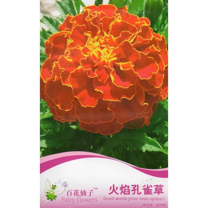 Gambar Bunga Marigold French Dwarf 30 biji B0241 dari hidrogel pelangi undefined Tokopedia