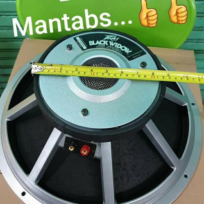 Jual Speaker Bw 18 Kota Surabaya Denny Afni Tokopedia