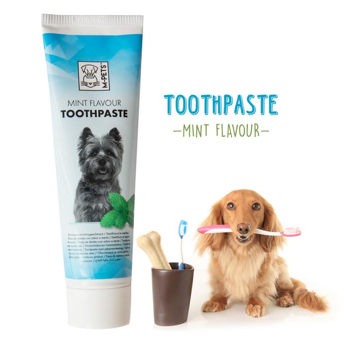 Jual M Pets Toothpaste Mint Flavour For Dog 100 Gram Pasta Gigi Anjing Kab Tangerang Fonsvitae Petshop Tokopedia