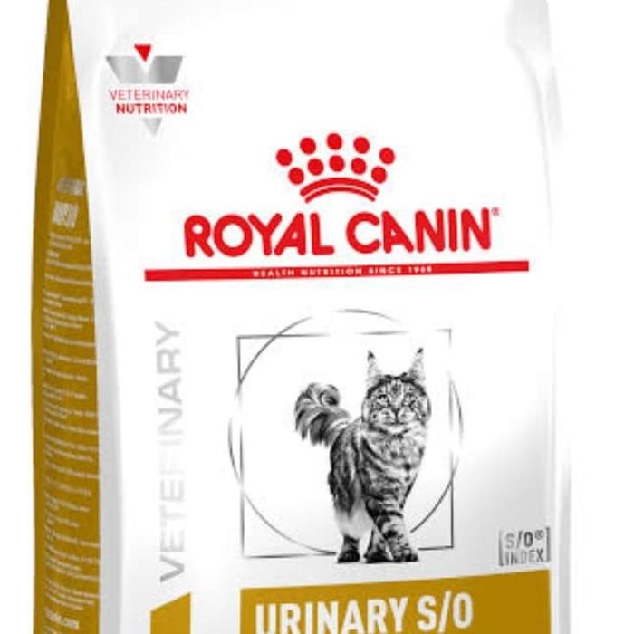 Makanan Kucing Urinary So Cat Cat Food Dry Royal Canin Urinary