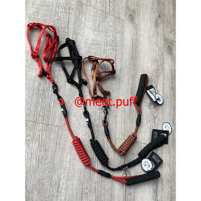 Gambar SIZE S TALI TUNTUN anjing Kucing harnes kualitas bagus LEASH 0.6 - Hitam dari Biquin Meetpuff shop undefined Tokopedia