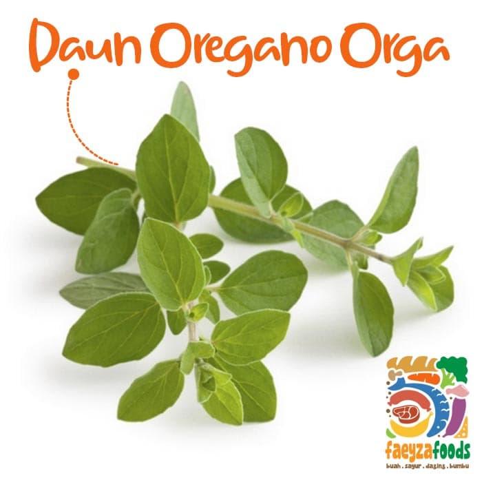 Jual Daun Oregano Orga Segar Pack Kota Tangerang Selatan Faeyzafoods Tokopedia