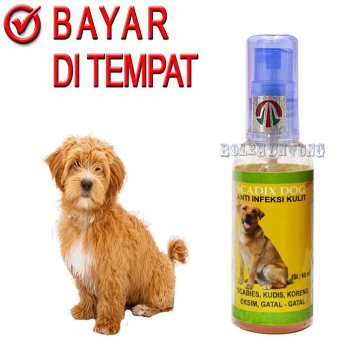 Jual Scadix Dog Obat Jamur Anjing Sakit Koreng Scabies Gatal Kulit Kab Tangerang Boleh Untung Tokopedia